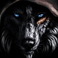 Knaller64 avatar
