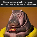 jorgeeytuu avatar