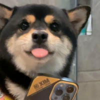 犬豆腐 avatar