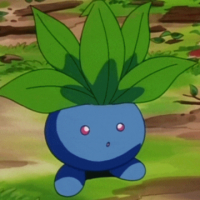 뚜벅cho avatar