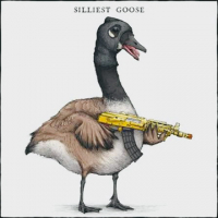 RomanianGoose avatar