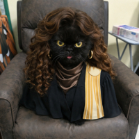 Pondhubstory avatar