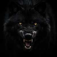 WöLF avatar