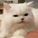 힘숨쭈 avatar
