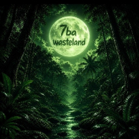 w a s t e l a n d avatar