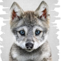 HyperWölfchen avatar