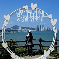 초코1 avatar
