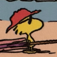 多多123456 avatar