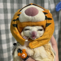 うさパンくん avatar