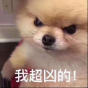 小白棒棒糖 avatar