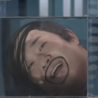 대채불가소채 avatar