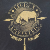 Legio X equestris avatar