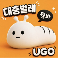ʚ대충BigBugɞ avatar