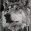 LOBO GRIS avatar