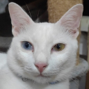 MM555 avatar