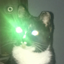 Captnugnam avatar