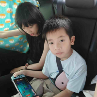 照哥哥丶Zhao avatar