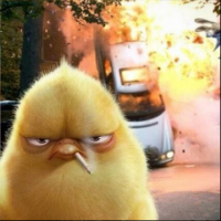 يأحبيبي avatar