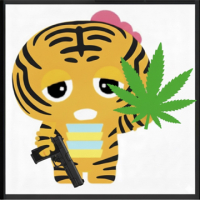 とらだもんーZ avatar