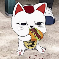 目光玉子 avatar