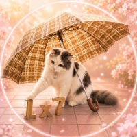ミナカ avatar