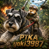 yoki3987 avatar