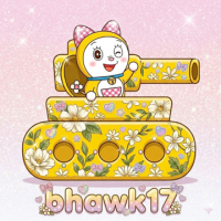 bhawk17 avatar