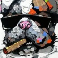 GAJISANG avatar