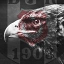 ern62 avatar