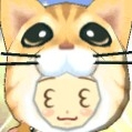 マ キ シ avatar