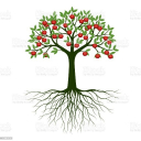 LtC APPLE avatar