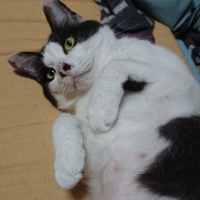 もっちぇ avatar