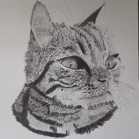 Fnato avatar