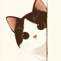 Cass B avatar