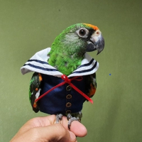 다다DaDa avatar