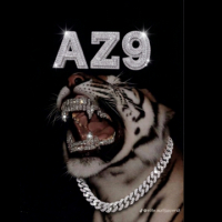 A Z 9 avatar