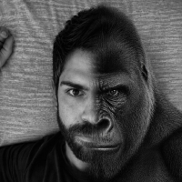 The PiEm avatar