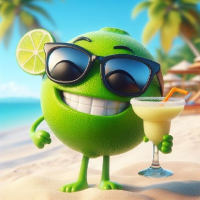 lime 라임 avatar