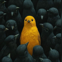 A7mmedsala7 avatar