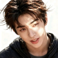 연두Tree avatar