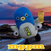 テリ茶 avatar