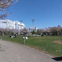 ともともとー avatar