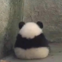 makarooni avatar