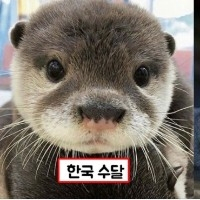 HARUKi avatar
