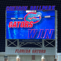 Gator Tommy avatar