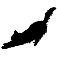 BLACK1107 avatar