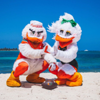New York Canes avatar