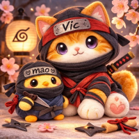 志凯 Vic avatar