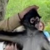 1OOKG avatar
