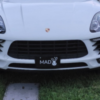 The Mad Rabbit avatar